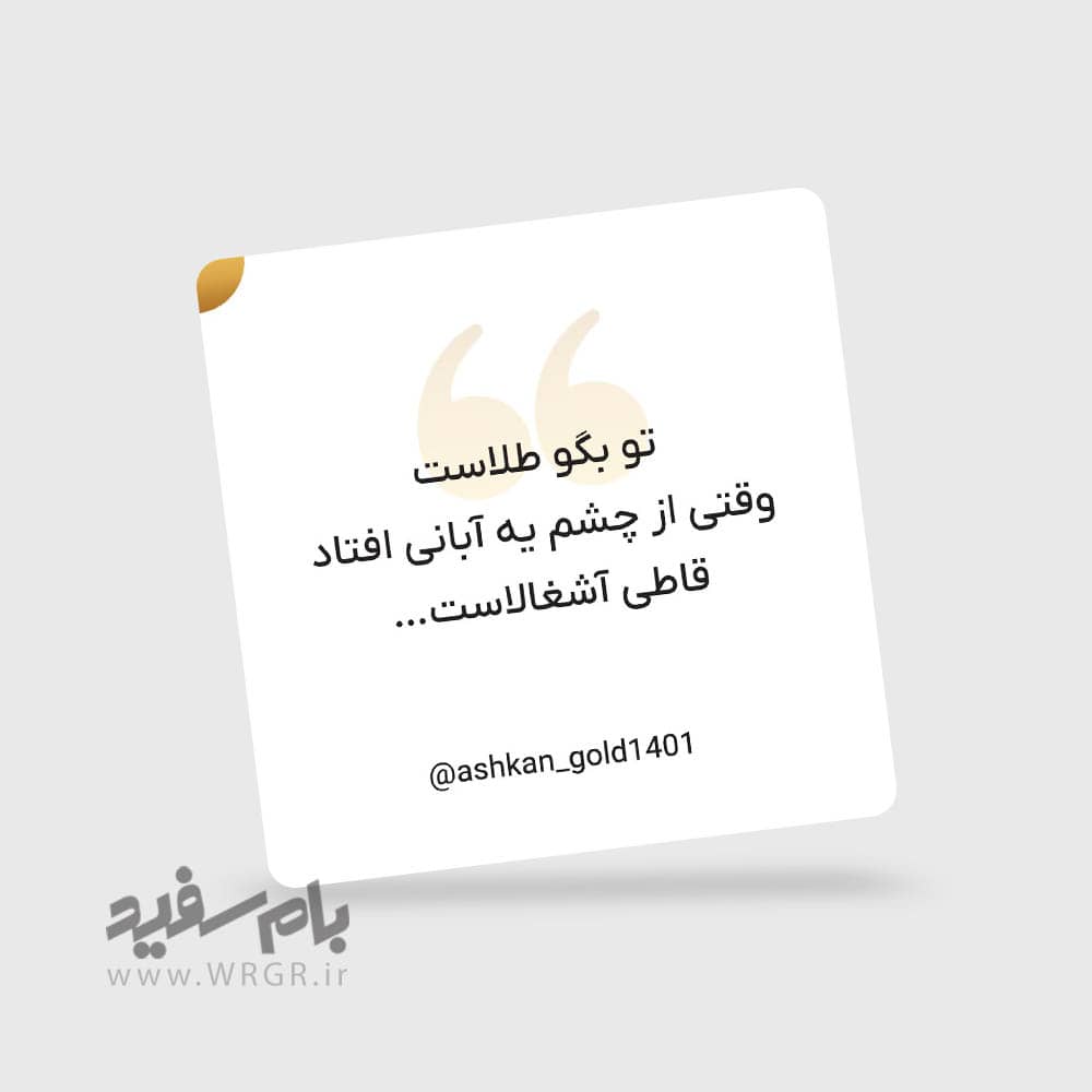 instagram-manage-ashkangold1401-2